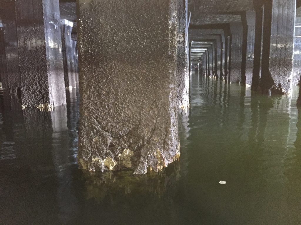 Performance Based Seismic Retrofit Solutions for Wharf Preservation