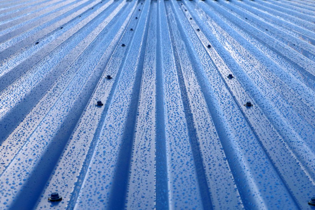Andrea Bono, Stephen Bono Describe Blue Roof Design Considerations in Building Enclosure Magazine