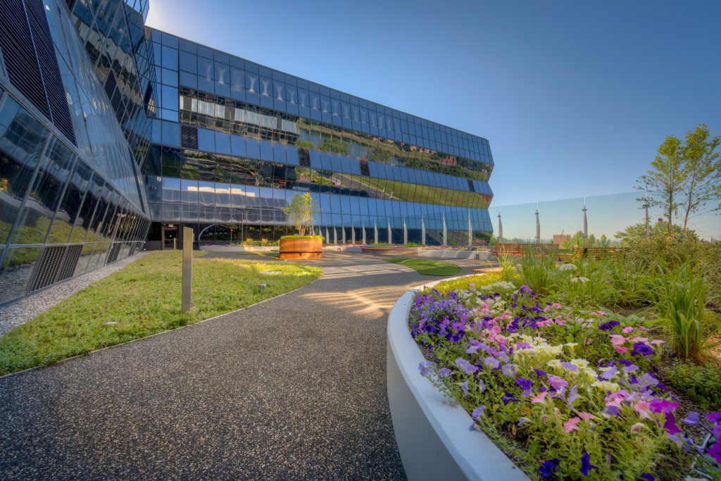 A Hospital’s Oasis