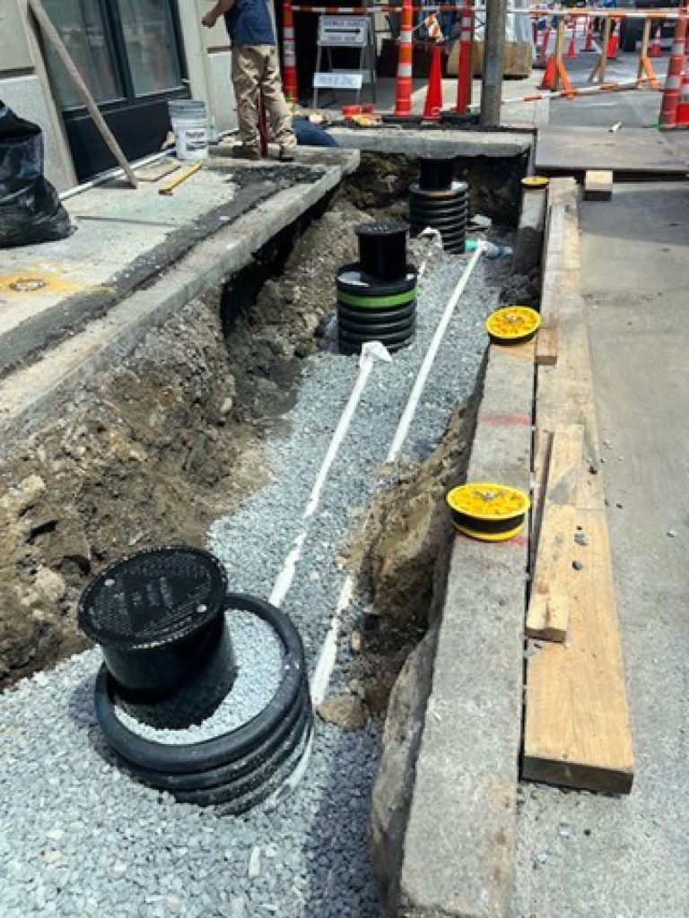 Timber Piles at Risk: Groundwater Recharge Solutions for Urban Preservation