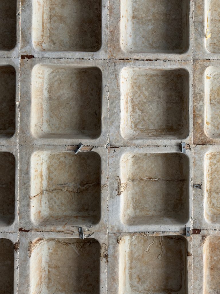 Simpson Gumpertz & Heger Welcomes Structural Repair and Rehabilitation Experts Judd Galloway and Michael Murphy