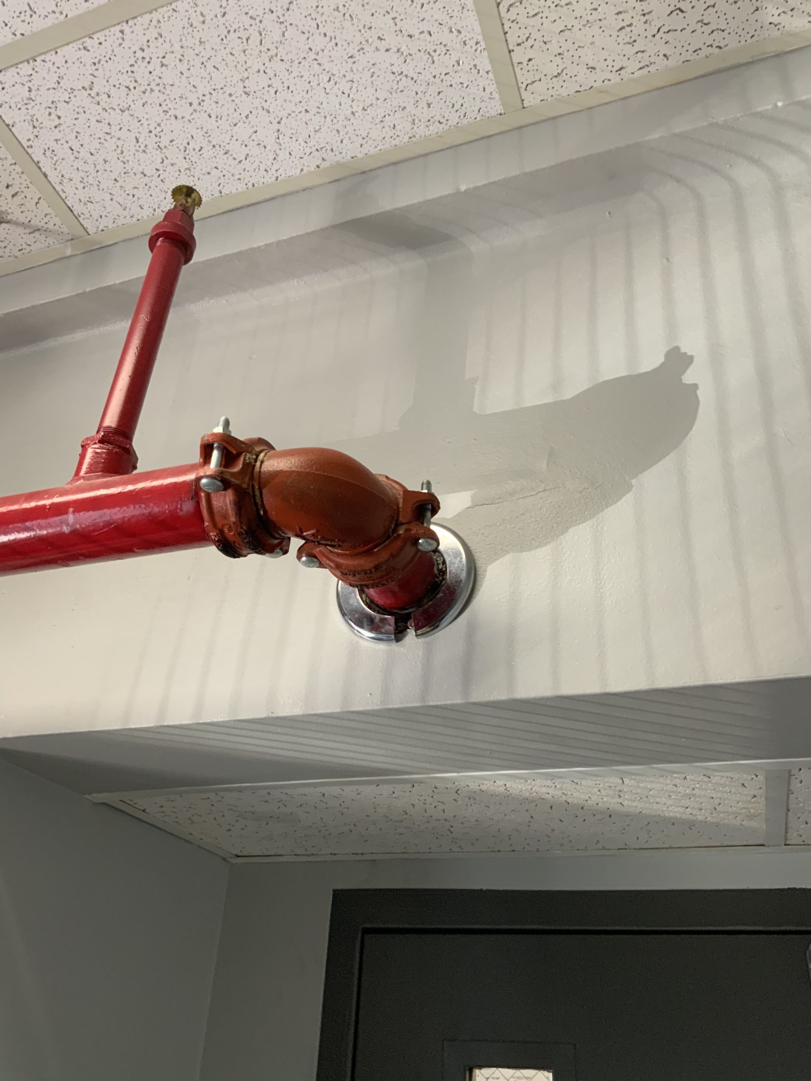 Red fire sprinkler pipe with a bolted coupling beneath a suspended ceiling