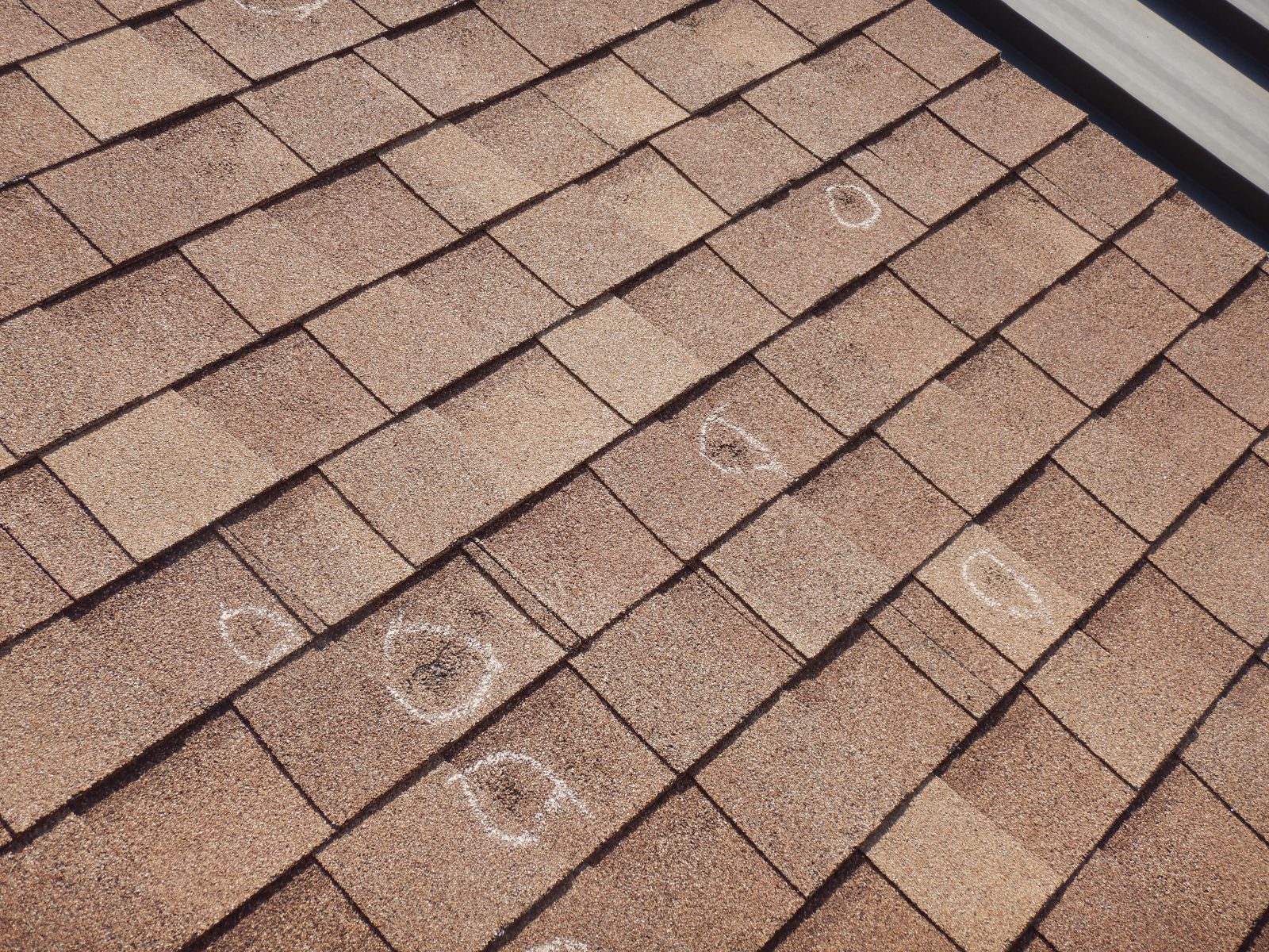 Hail damage on a shingled roof.